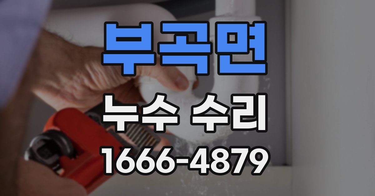 부곡면 누수 수리