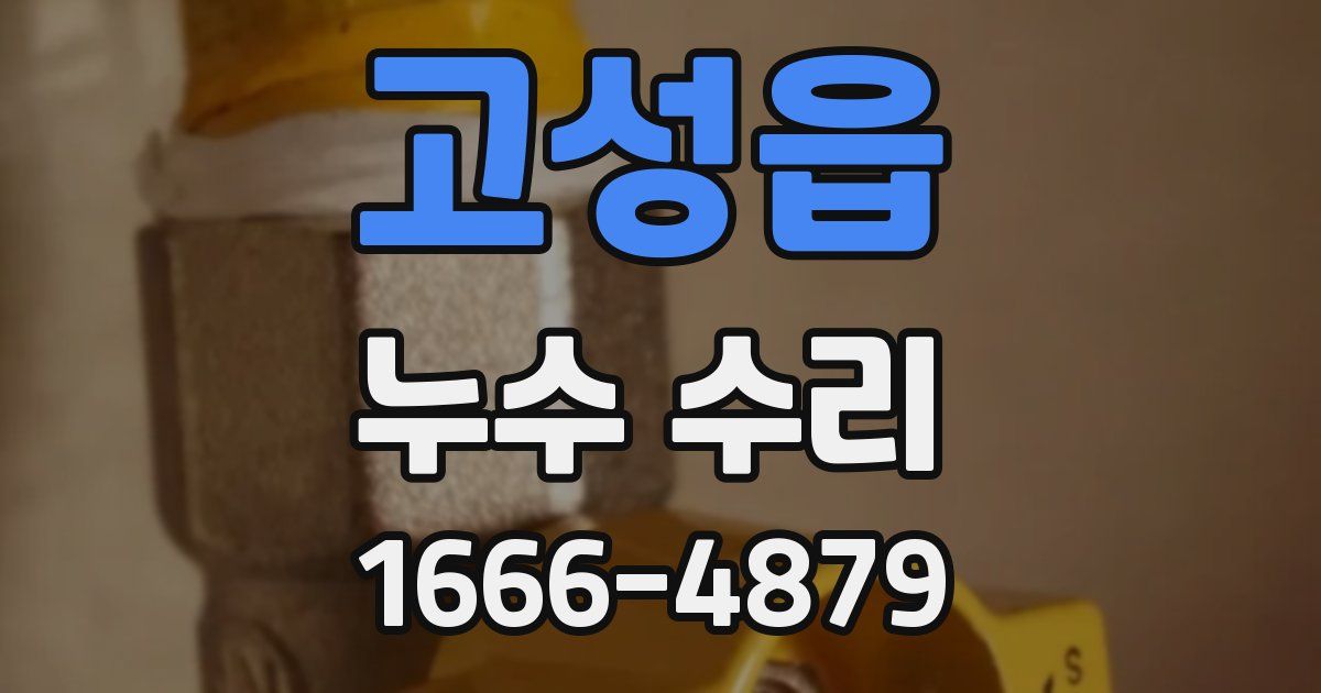 고성읍 누수 수리