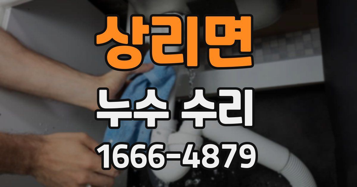 상리면 누수 수리
