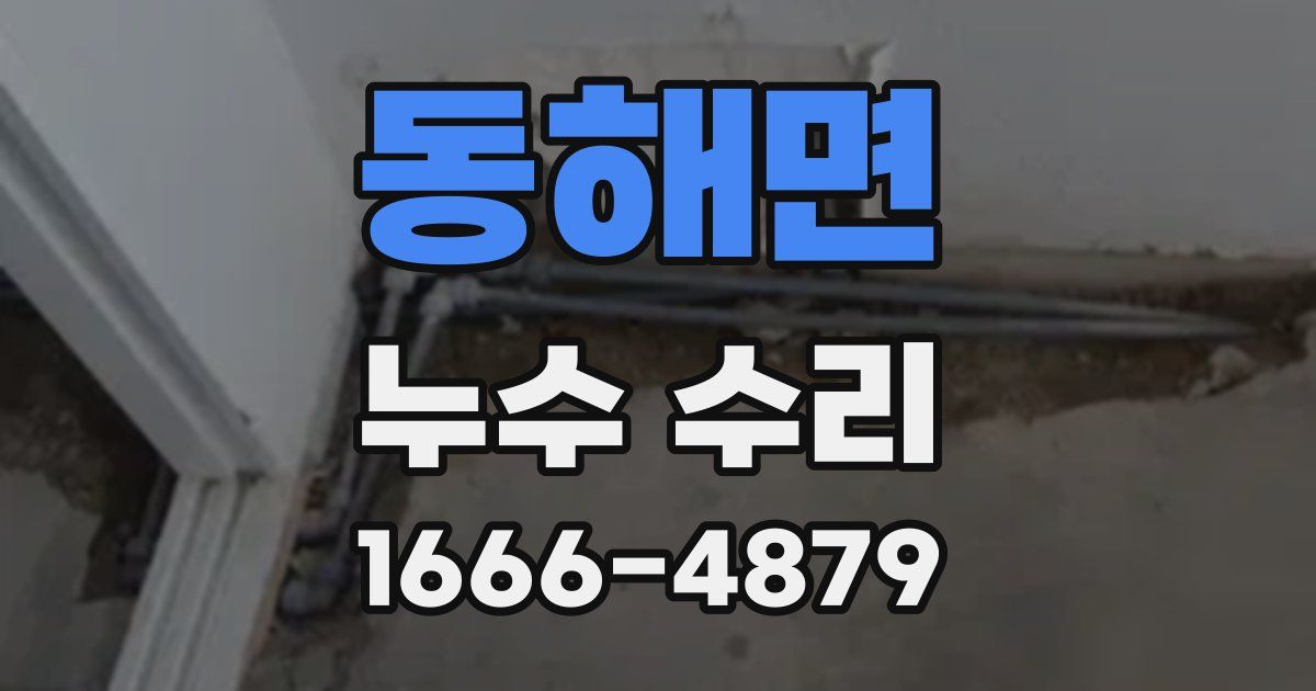 동해면 누수 수리