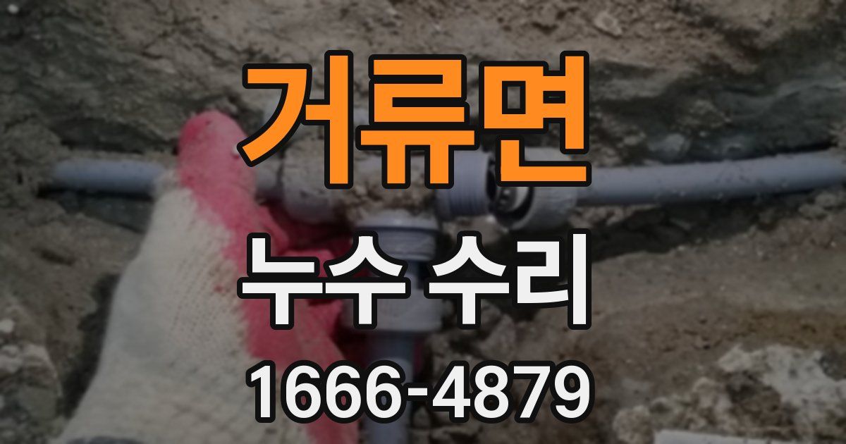 거류면 누수 수리