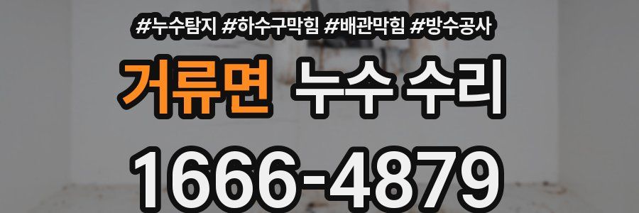 거류면 누수 수리