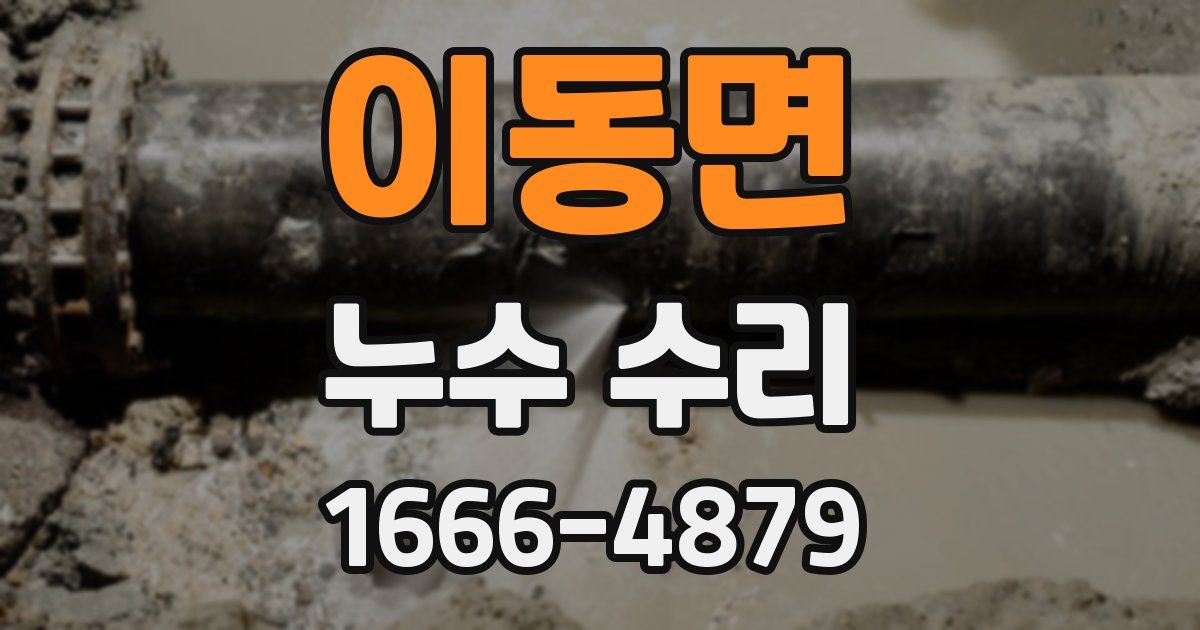 이동면 누수 수리