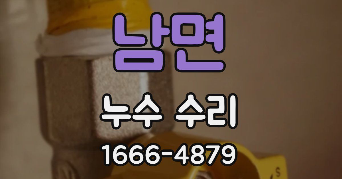 남면 누수 수리