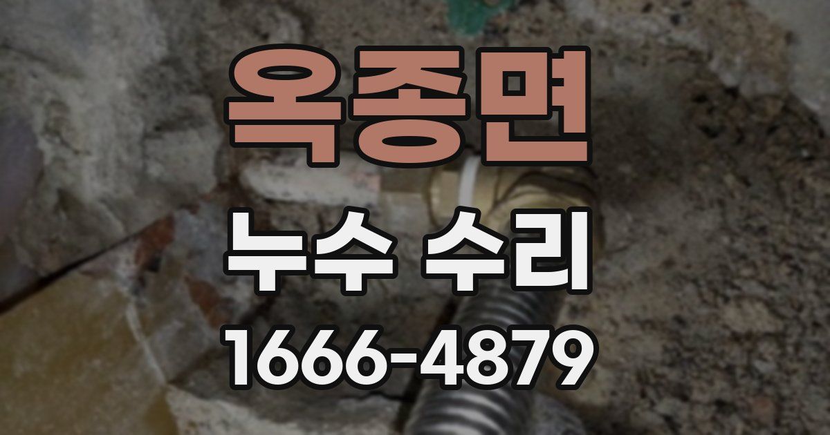 옥종면 누수 수리