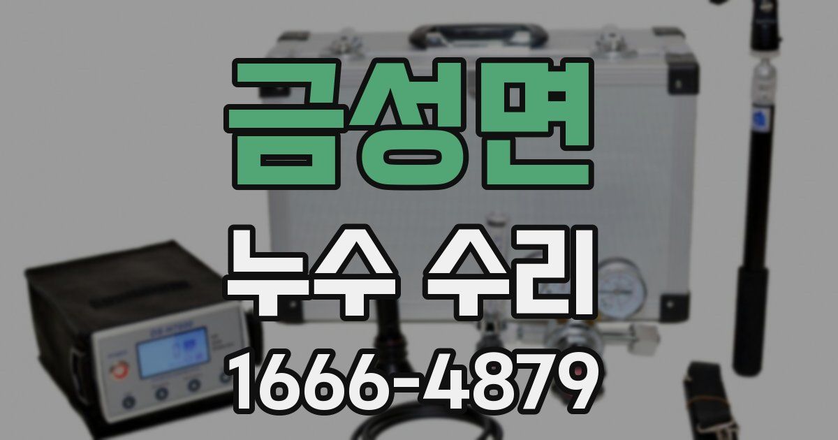 금성면 누수 수리