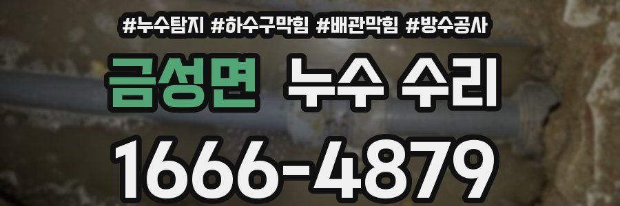 금성면 누수 수리