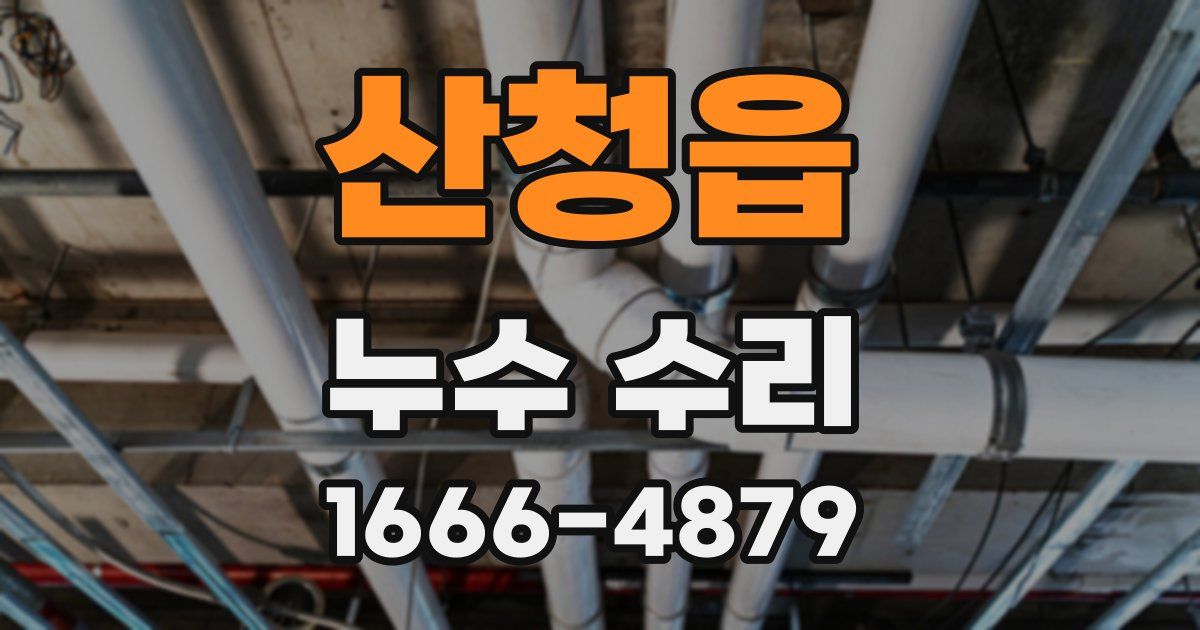 산청읍 누수 수리