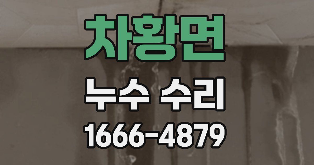 차황면 누수 수리
