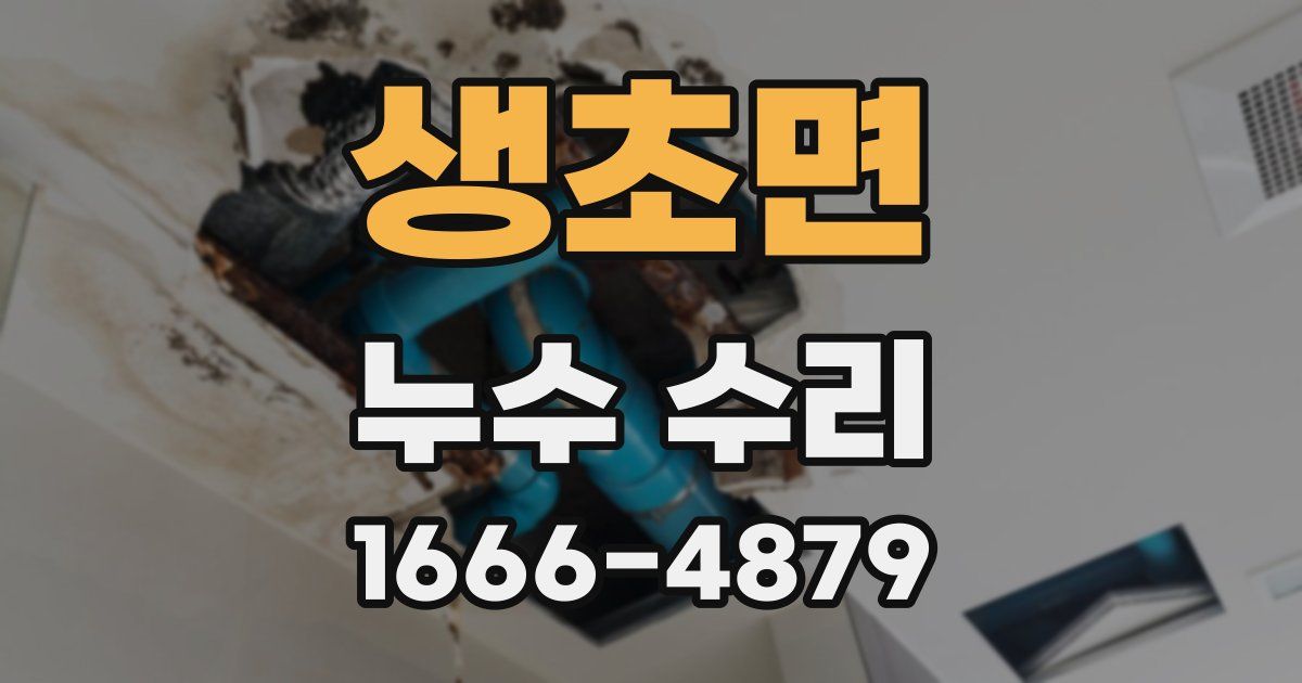 생초면 누수 수리