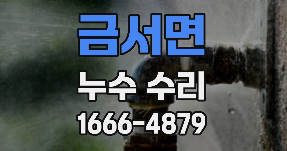 금서면 누수 수리