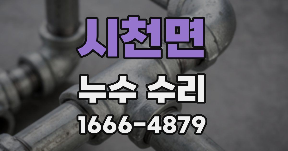 시천면 누수 수리