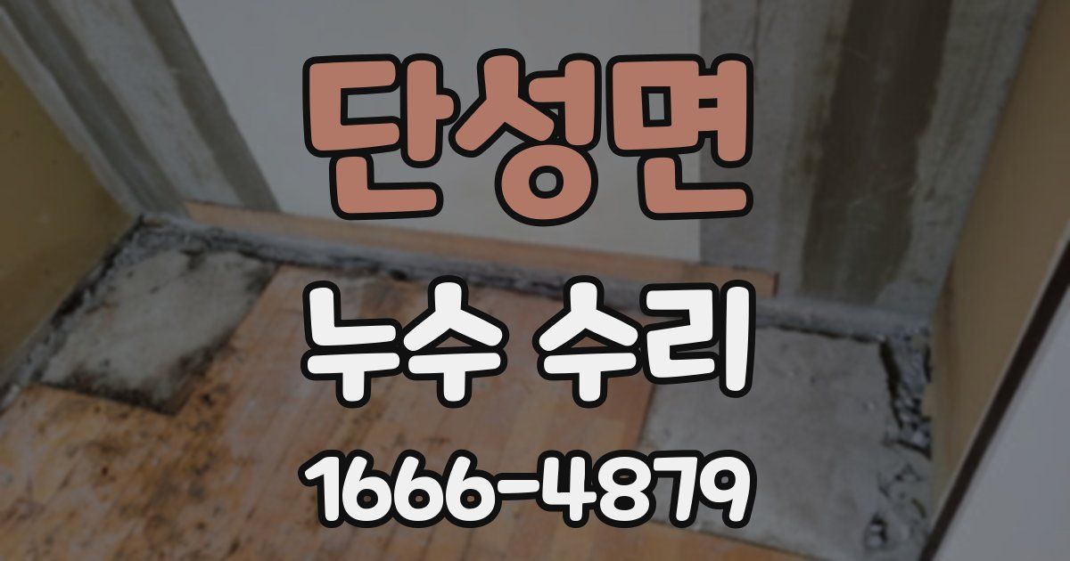 단성면 누수 수리