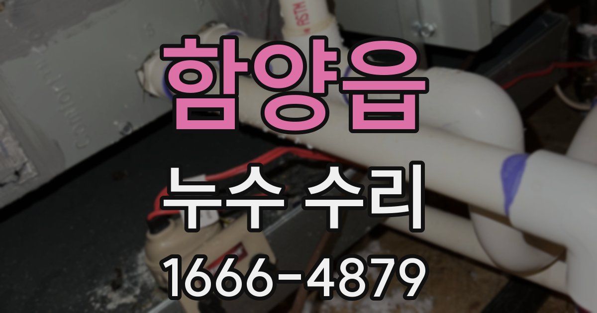 함양읍 누수 수리