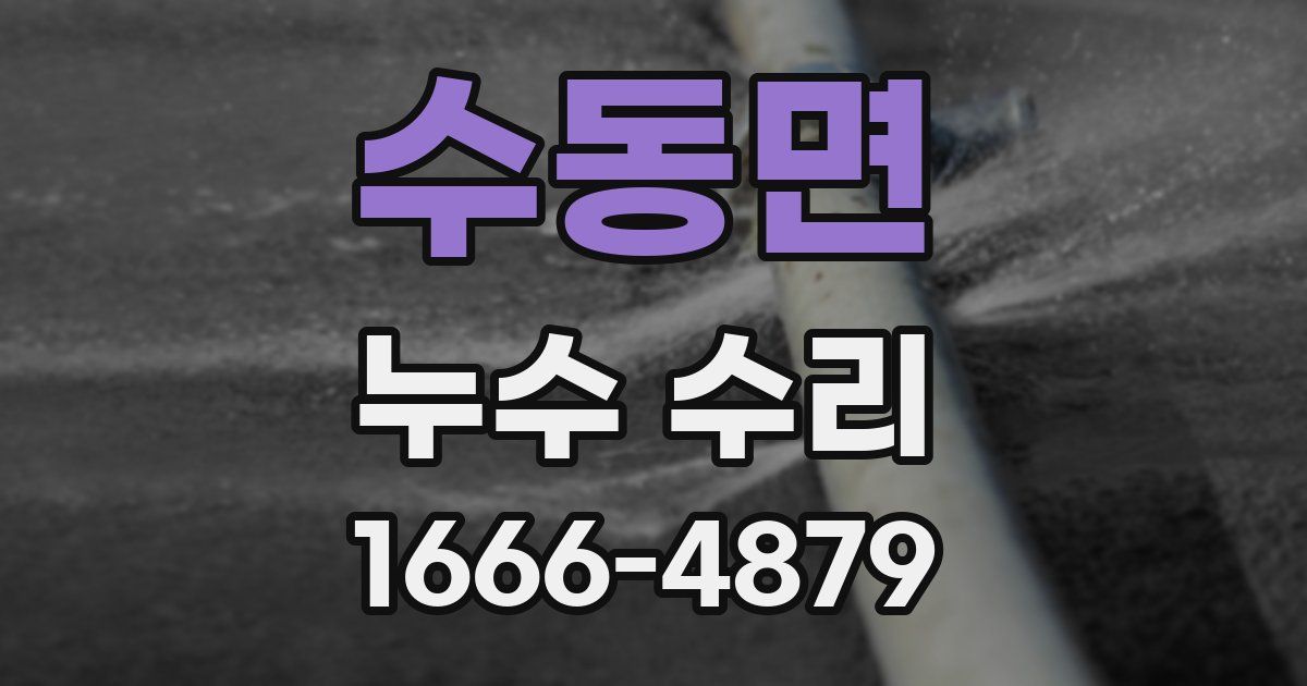 수동면 누수 수리