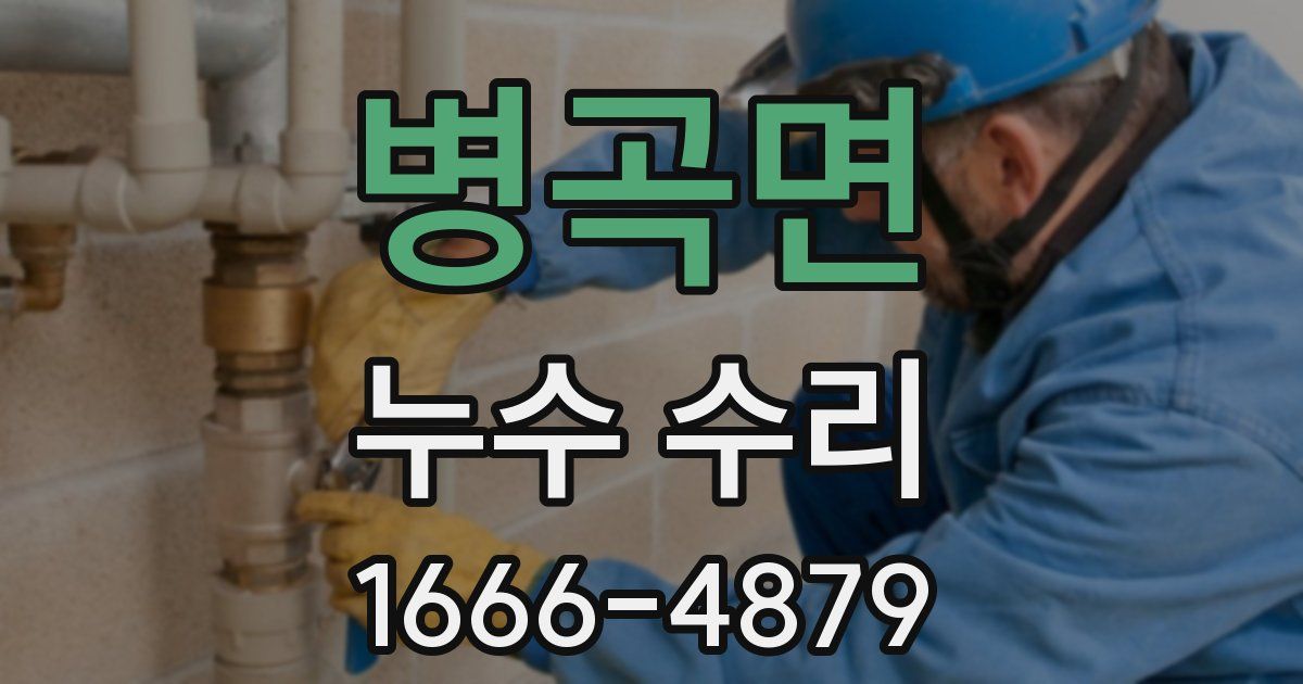병곡면 누수 수리