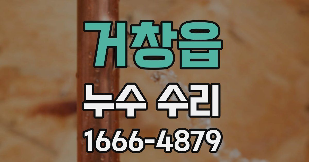 거창읍 누수 수리