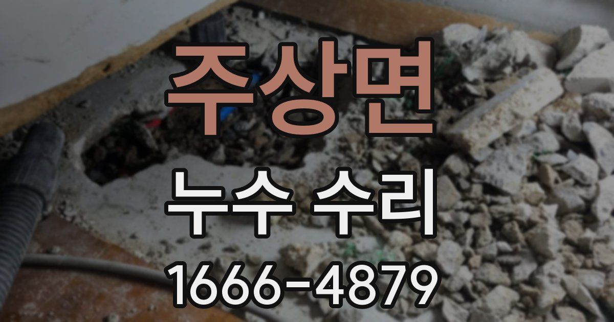 주상면 누수 수리