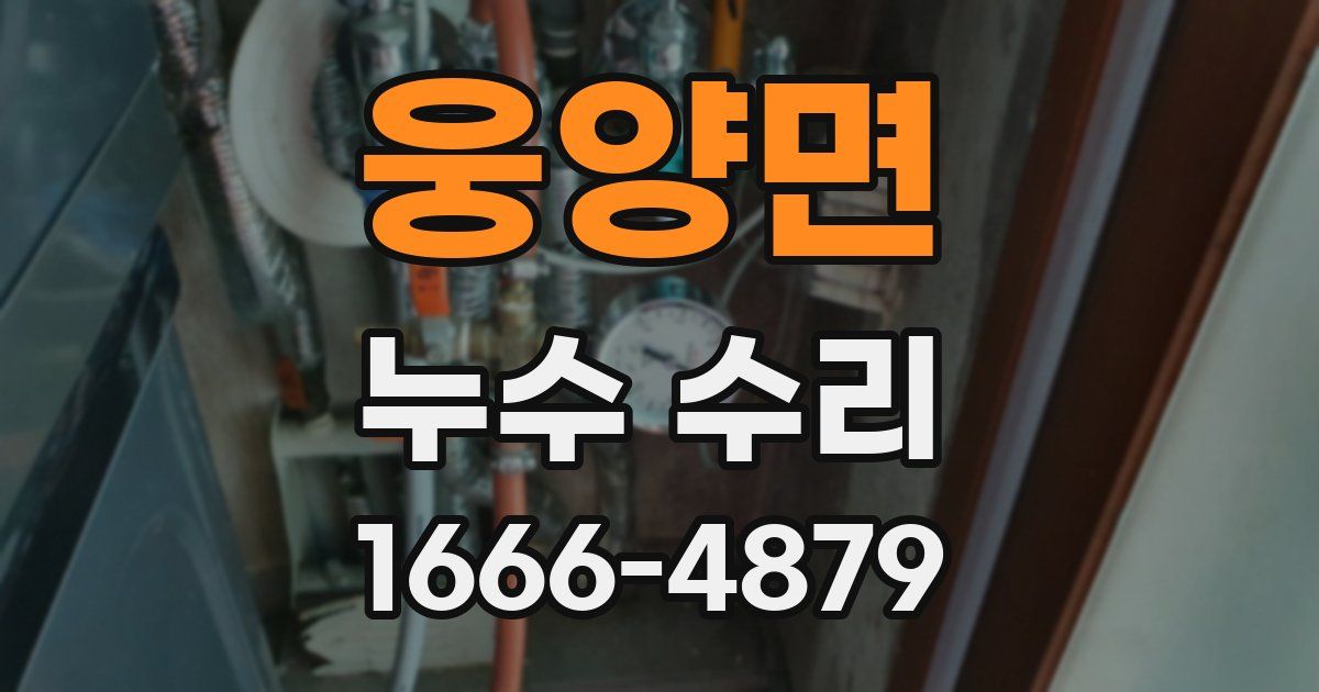 웅양면 누수 수리