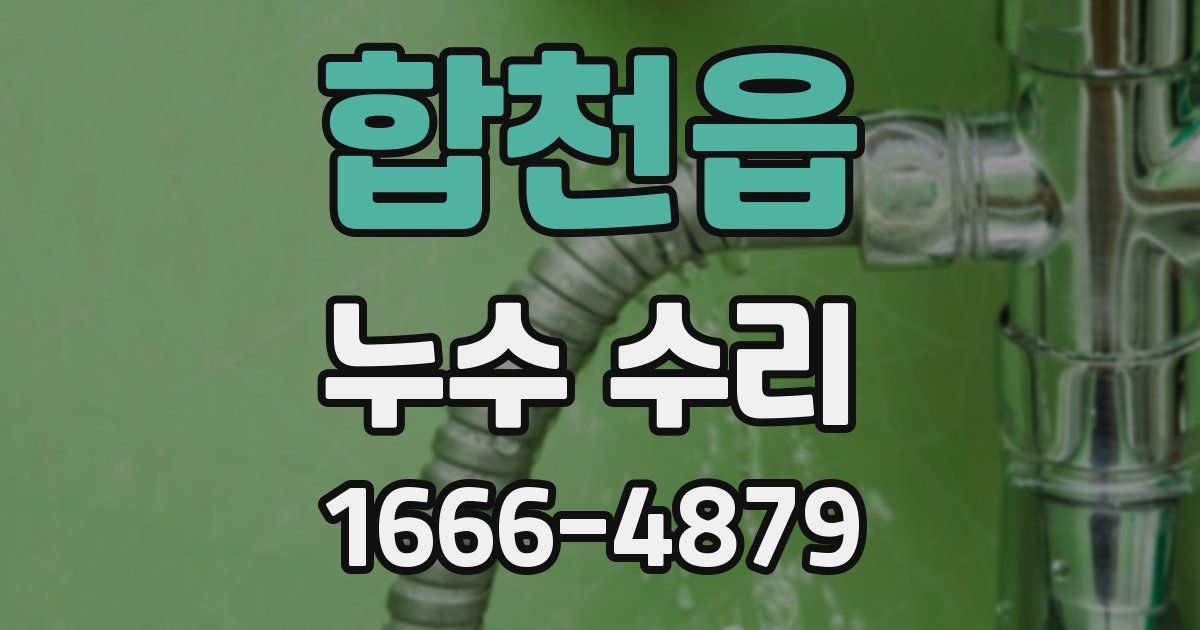 합천읍 누수 수리