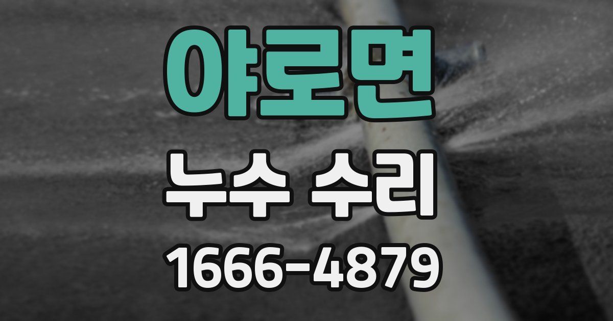 야로면 누수 수리