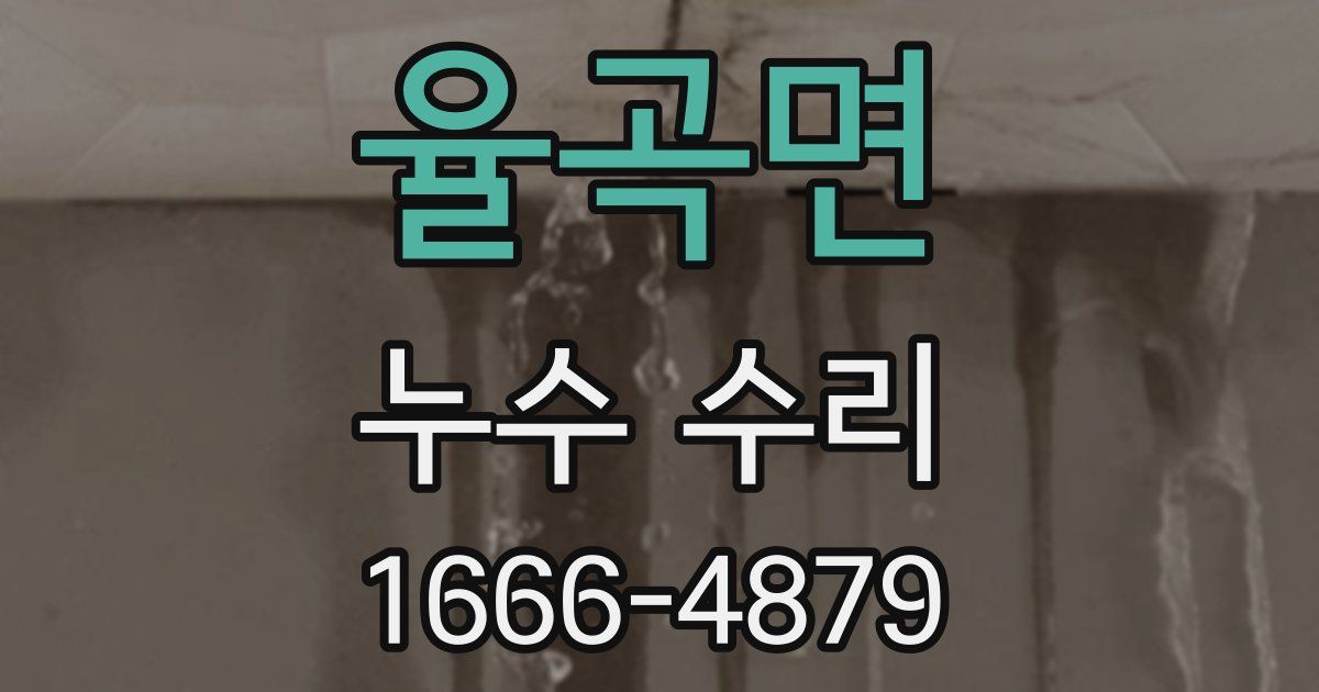 율곡면 누수 수리