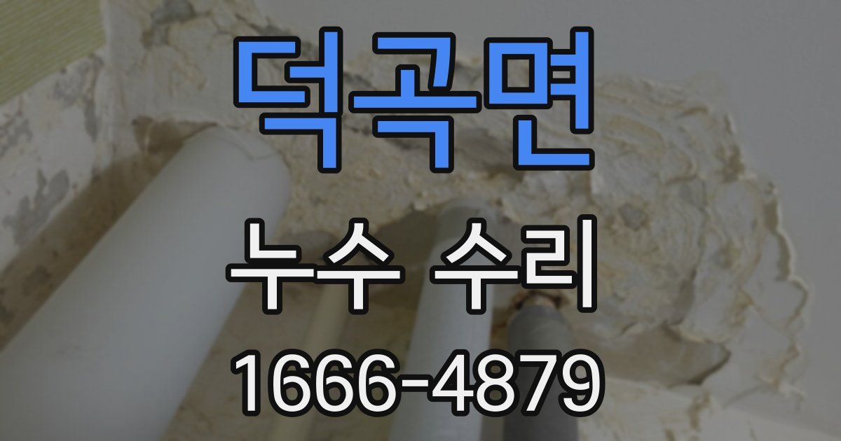덕곡면 누수 수리