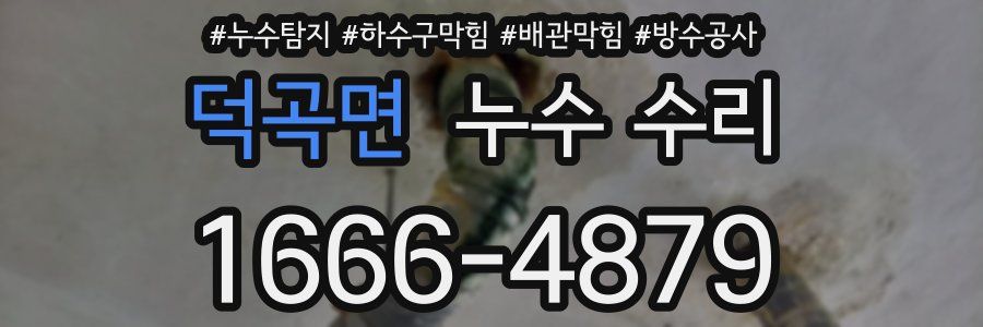덕곡면 누수 수리