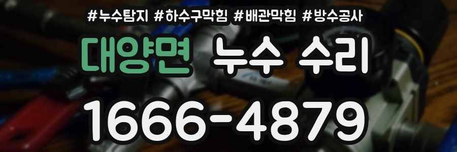 대양면 누수 수리
