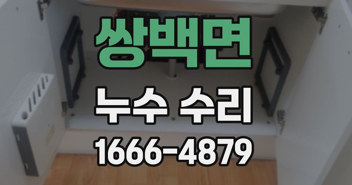 쌍백면 누수 수리
