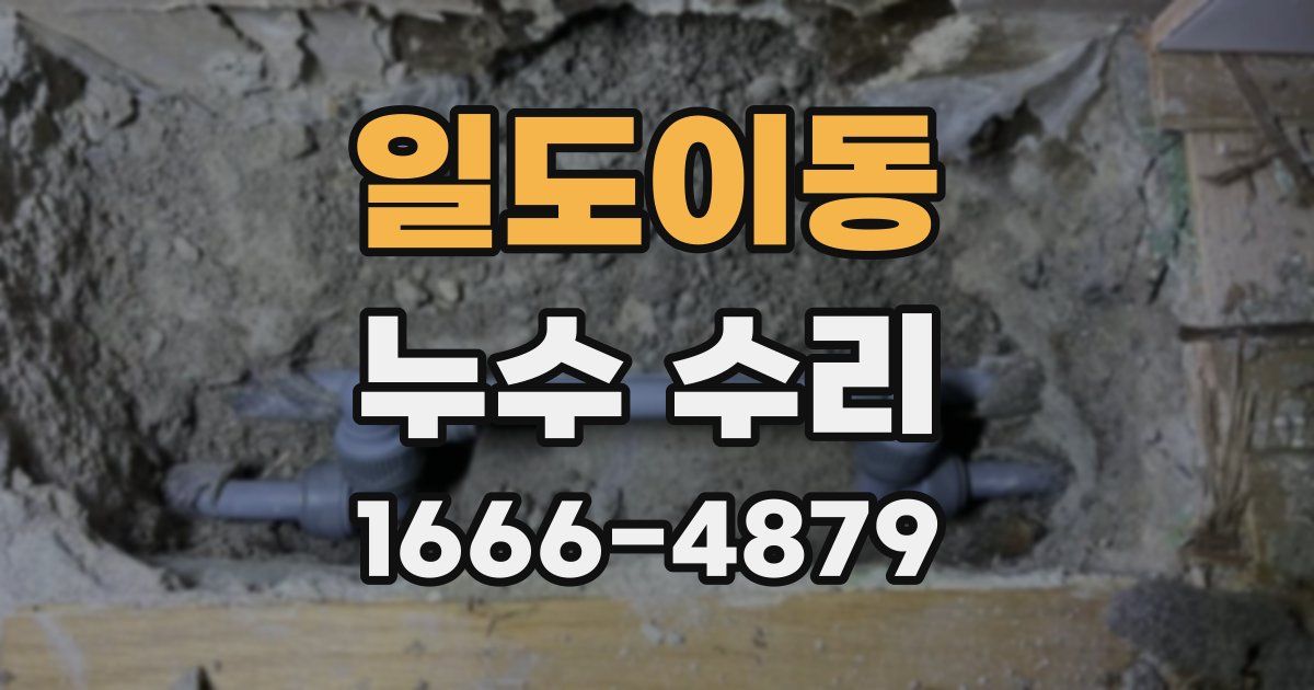 일도이동 누수 수리