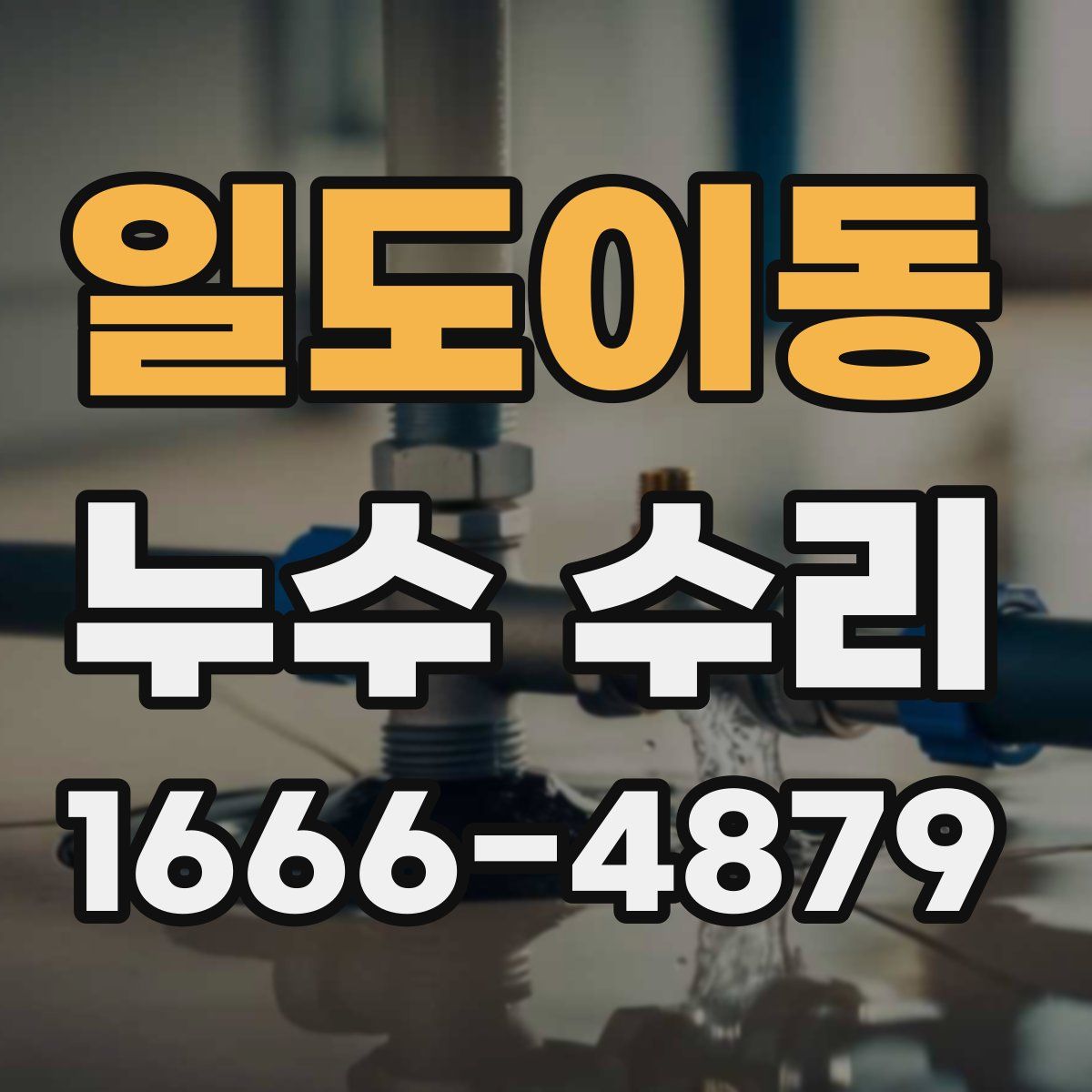 일도이동 누수 수리
