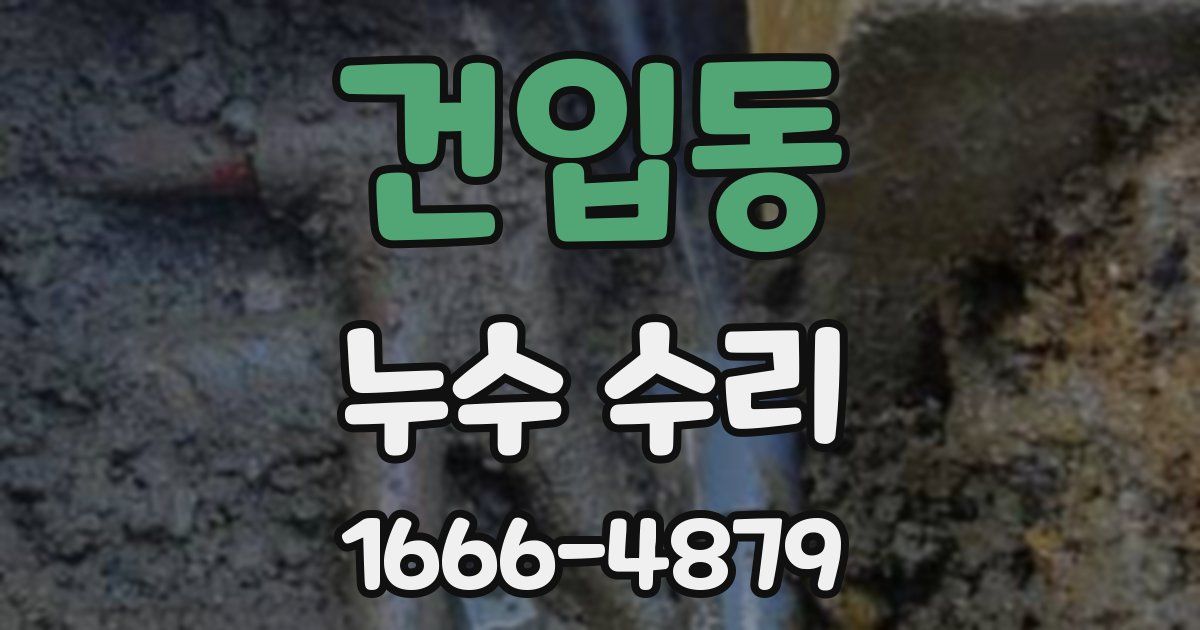 건입동 누수 수리
