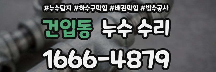 건입동 누수 수리