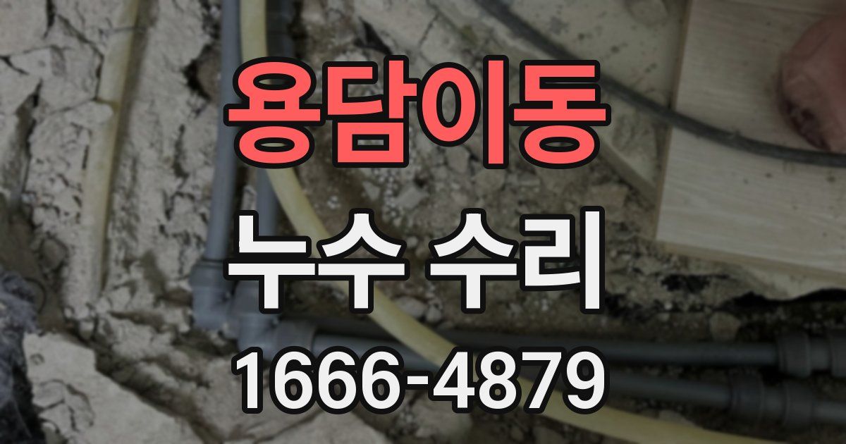 용담이동 누수 수리