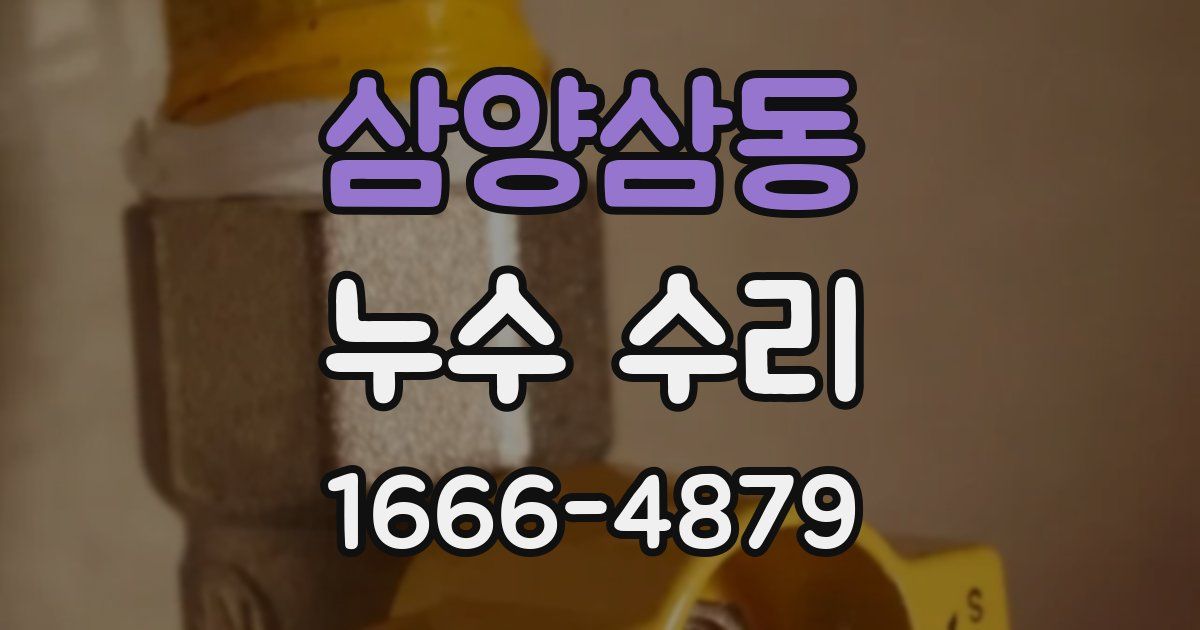 삼양삼동 누수 수리