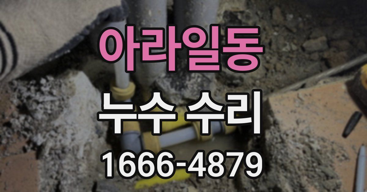 아라일동 누수 수리