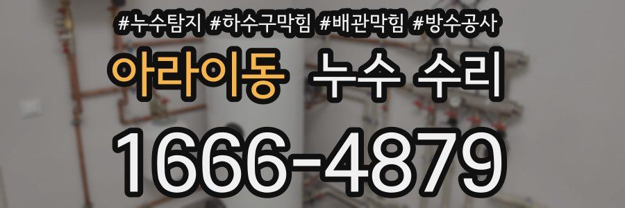 아라이동 누수 수리