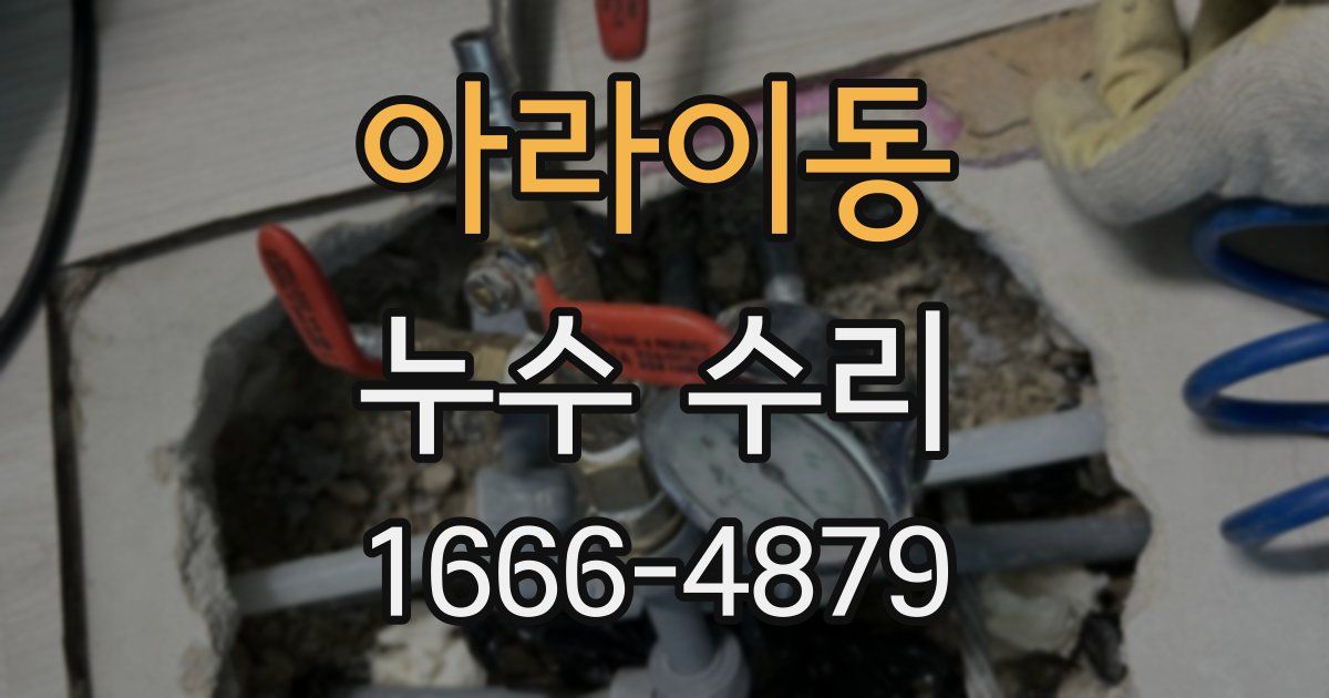 아라이동 누수 수리