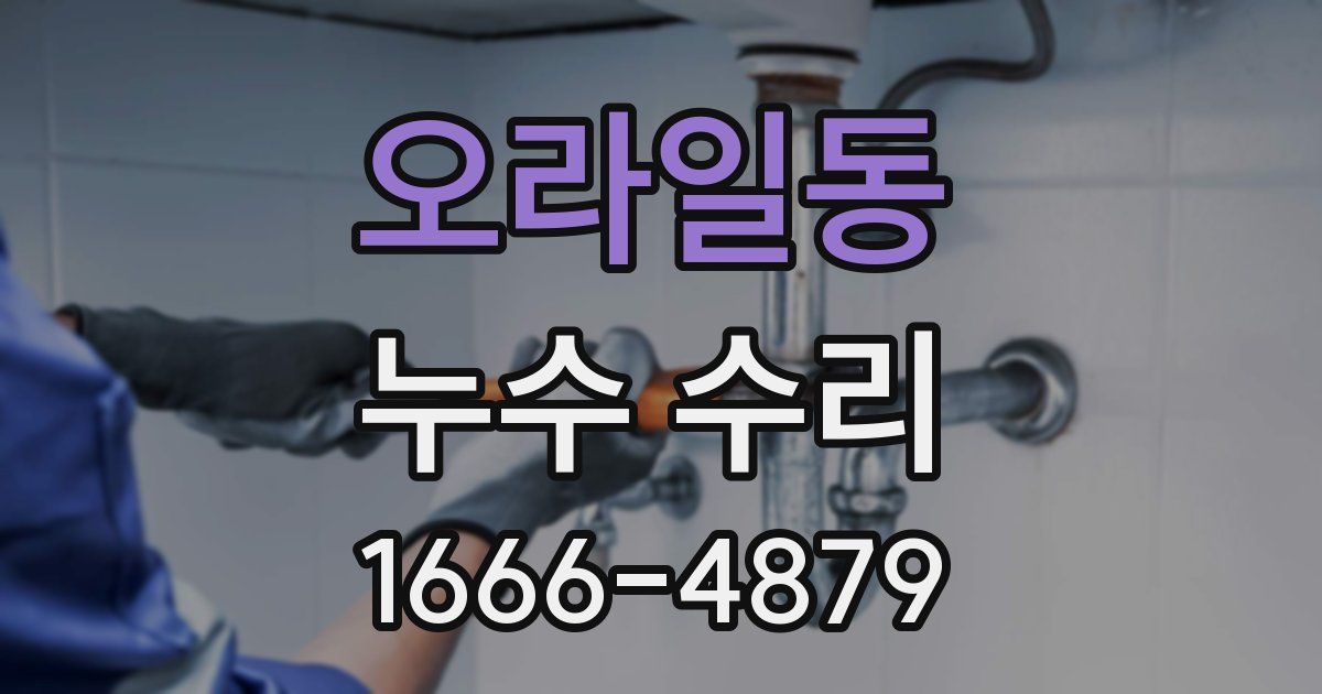 오라일동 누수 수리