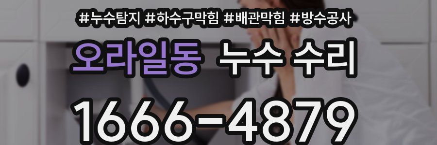 오라일동 누수 수리