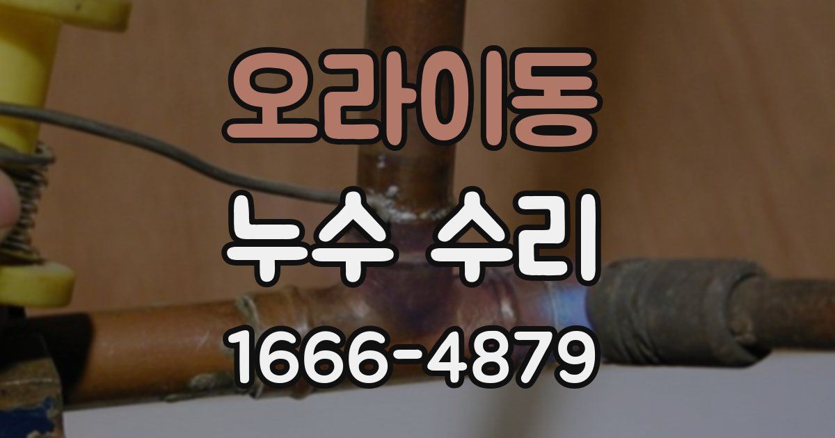 오라이동 누수 수리