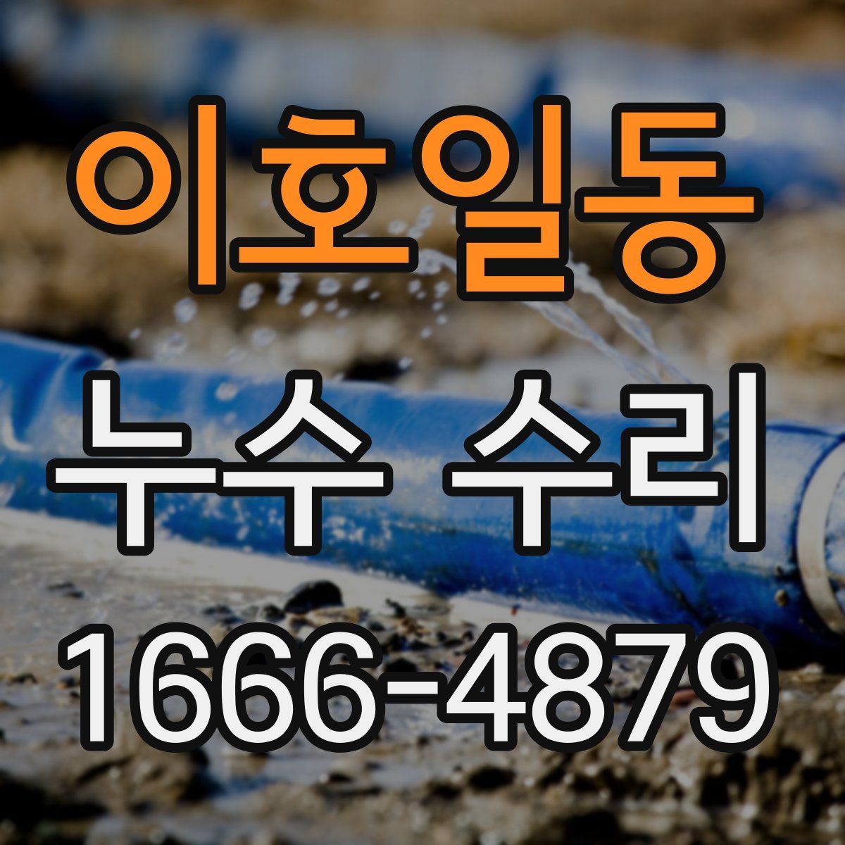 이호일동 누수 수리