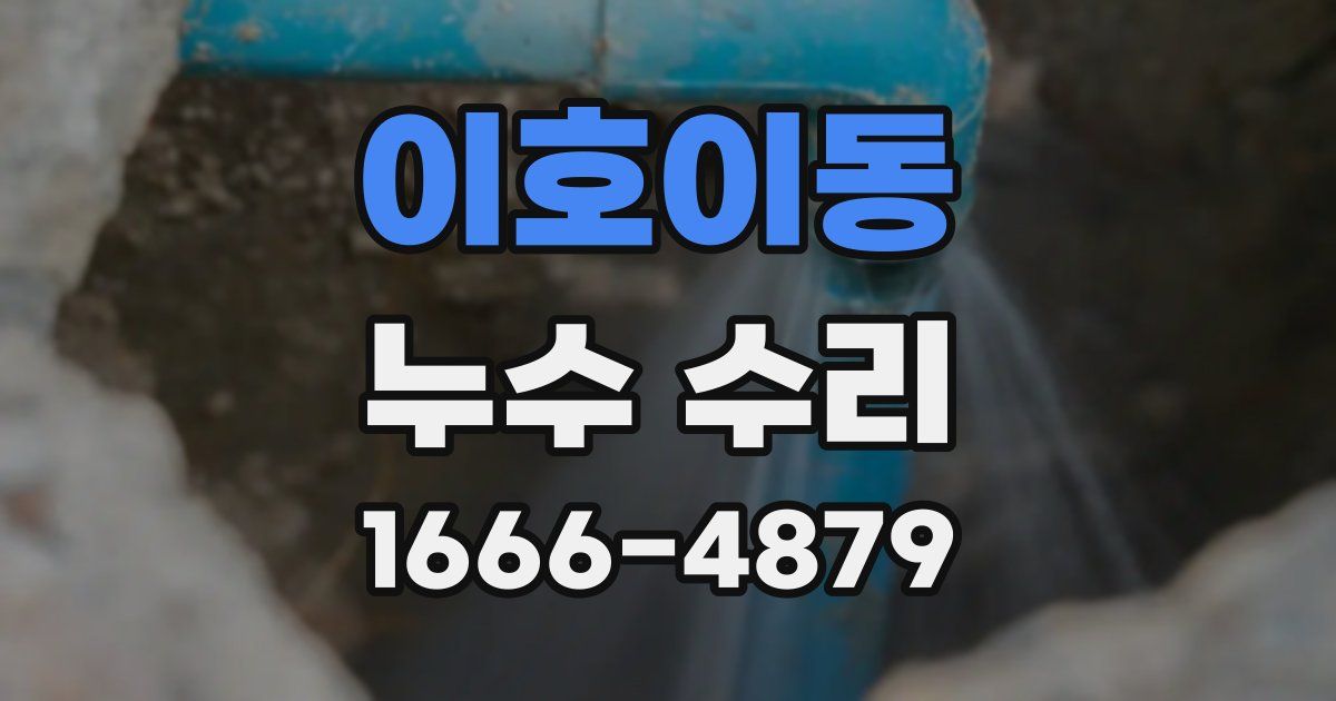이호이동 누수 수리