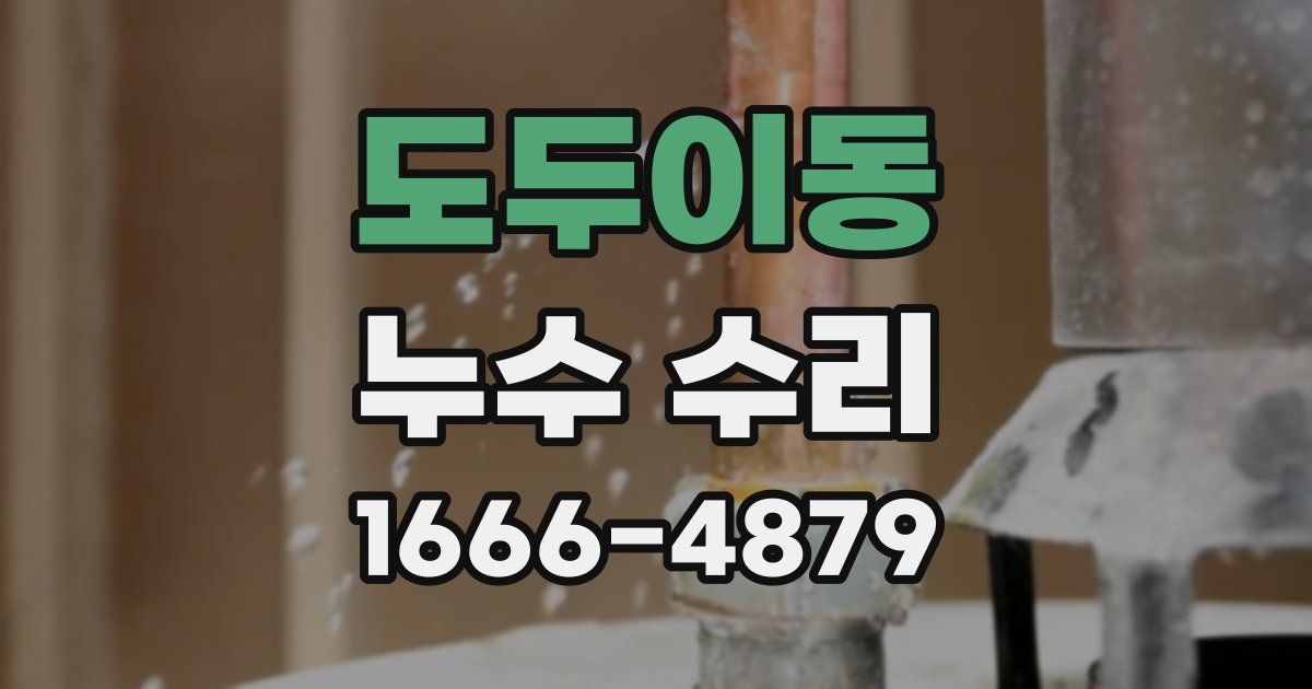 도두이동 누수 수리