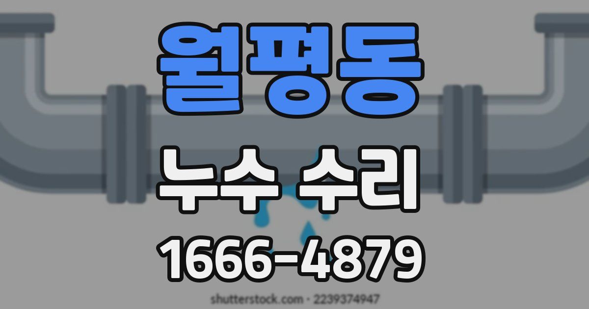 월평동 누수 수리