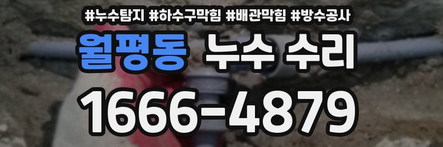 월평동 누수 수리