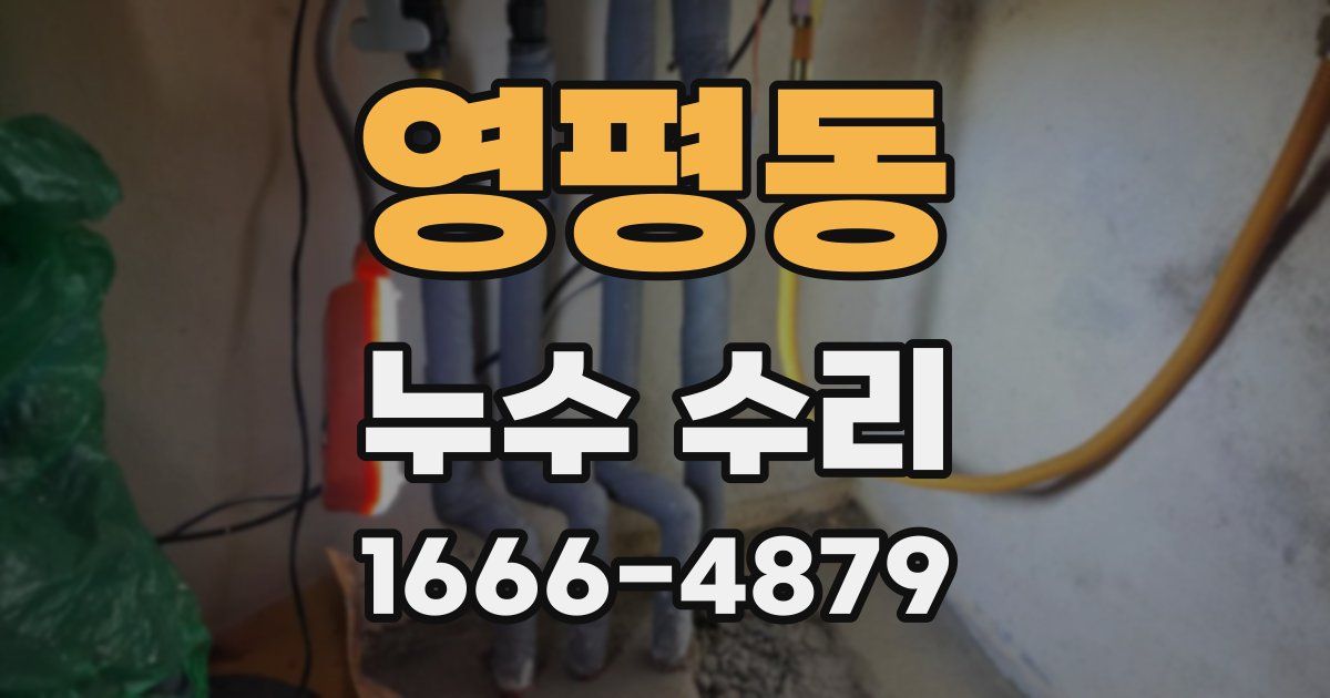 영평동 누수 수리