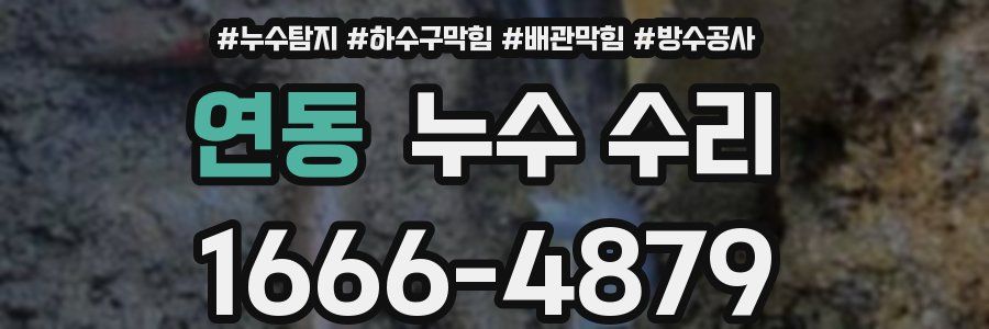 연동 누수 수리