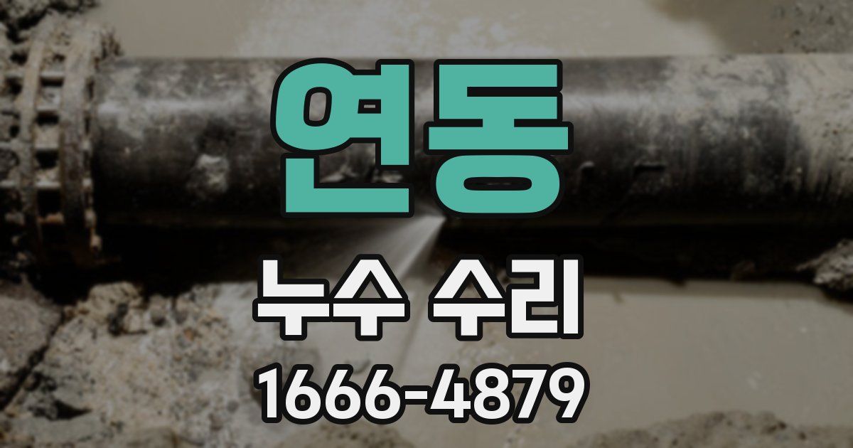 연동 누수 수리